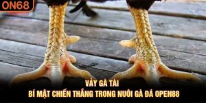 vảy gà tài